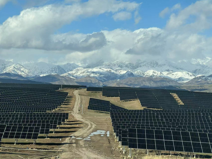 1768986903698829L5lW.jpg 中绿电-(2).jpg