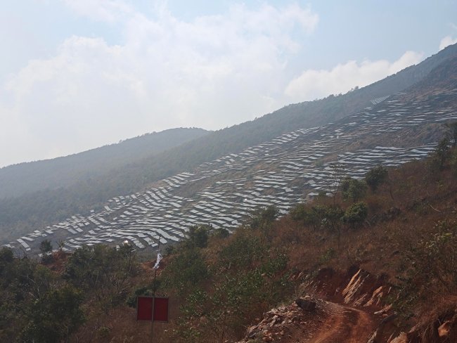 17689873821688082EKR.jpg 临沧永德-(1).jpg